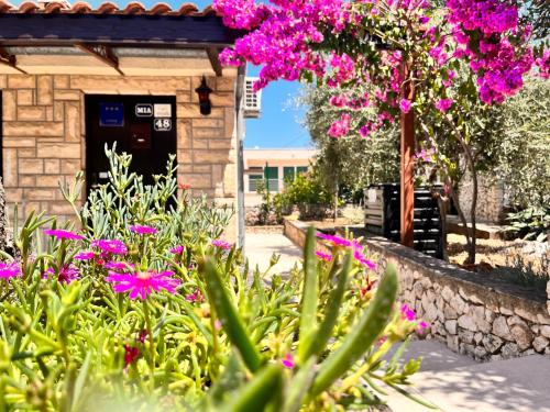 um jardim com flores cor-de-rosa em frente a um edifício em Holiday House Mia em Ražanj