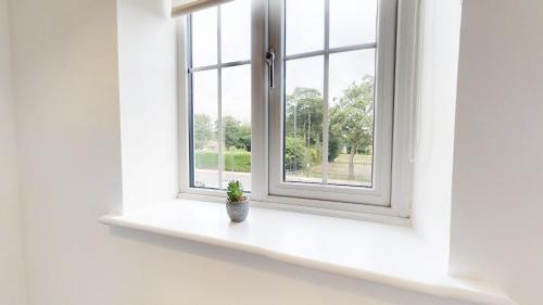 a window with a potted plant sitting on a shelf at Blakelock House Hartlepool Horizon Stays in Hartlepool