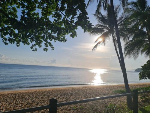 a beach with a palm tree and the ocean at Blue Lagoon Tropical Sanctuary in Trinity Beach