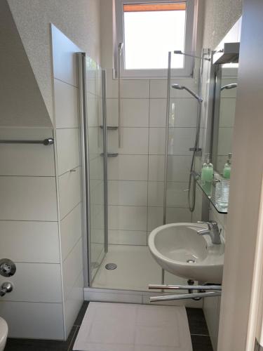 y baño con ducha y lavamanos. en Am Brunnen en Überlingen