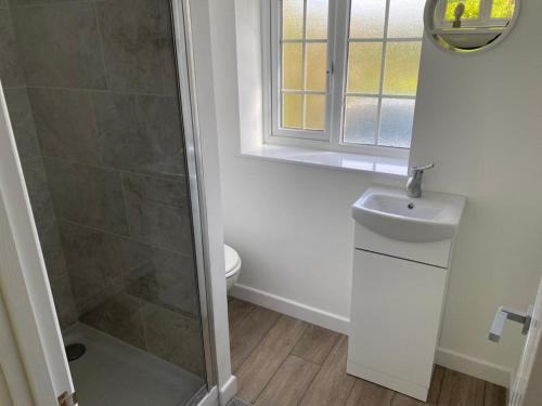 a bathroom with a shower and a toilet and a sink at Sylvan Seas in Whitwell