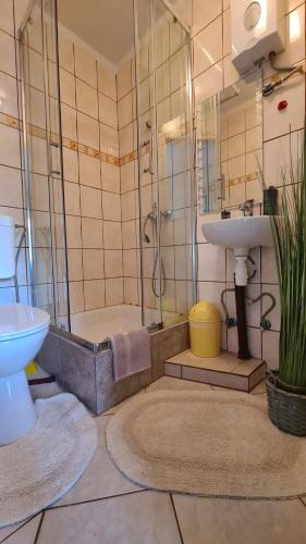 a bathroom with a shower and a sink and a toilet at Agroturystyka „U Rzeźbiarza” in Sławno