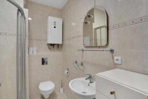 La salle de bains est pourvue d'un lavabo, de toilettes et d'un miroir. dans l'établissement Horský Apartmán Klínovec 4, à Loučná pod Klínovcem