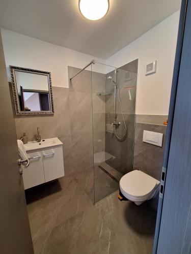 y baño con ducha, aseo y lavamanos. en Pension Eichsfeld Zimmer 2 Komfort en Breitenworbis
