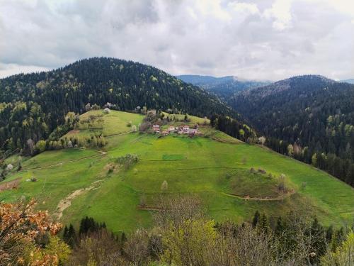 Příroda nedaleko apartmánu