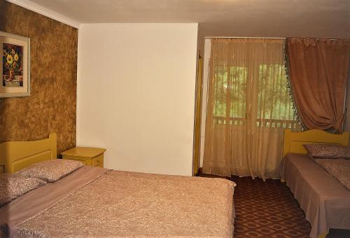 a hotel room with two beds and a window at Pensiunea Sorina Deea in Bicazu Ardelean