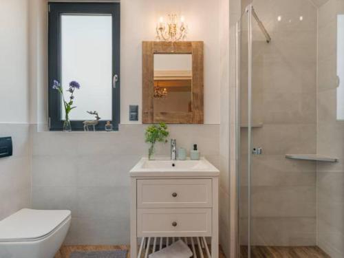 a bathroom with a sink and a toilet and a mirror at Apartamenty Bąkowo Chatka in Witów