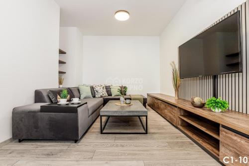 a living room with a couch and a tv at KORZO LIPNO C in Lipno nad Vltavou