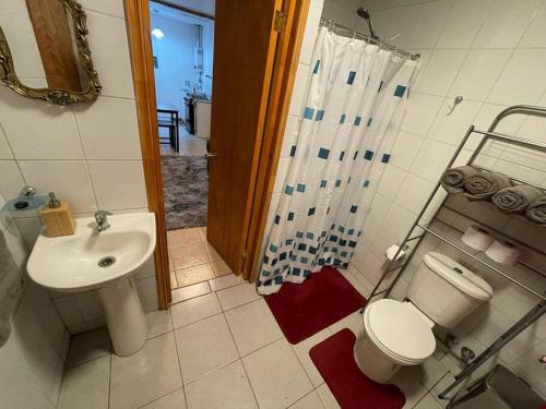 W łazience znajduje się umywalka, toaleta i prysznic. w obiekcie Cabaña en Boscoso Lodge w mieście Pucón