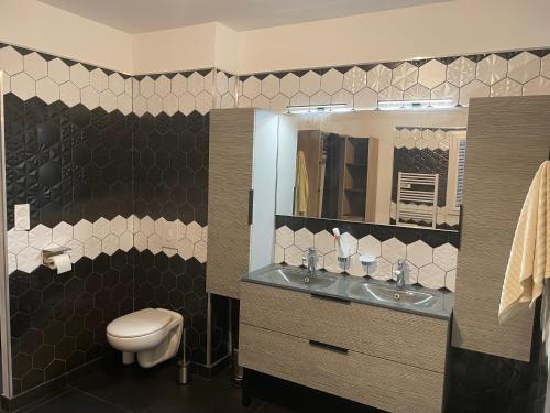 uma casa de banho com um WC, um lavatório e um espelho. em Meublé de tourisme MARTINET em Vénéjan