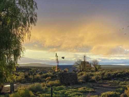 a cross in the middle of a field with a sunset at Oupoort Eco & Guest Farm - Sutherland - Middelpos in Sutherland