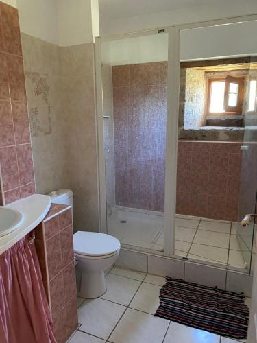 une salle de bain avec une douche, des toilettes et un lavabo dans l'établissement Chez Sophie - Gîte et Gîte équestre, à Clermont-Dessous