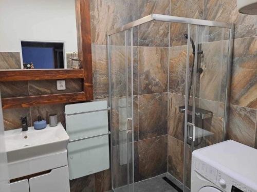 La salle de bains est pourvue d'une douche et d'un lavabo. dans l'établissement Kael Apartment, à Teplice