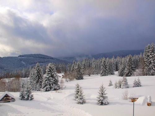 a snow covered field with trees and a mountain at Apartmán Horní Mísečky F11 - Horský svět in Horni Misecky