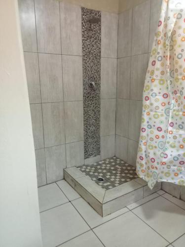 Pretoria的住宿－Queen Light，带淋浴和浴帘的浴室