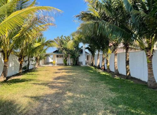 une rangée de palmiers devant un bâtiment dans l'établissement Hotel kountry Palm, 