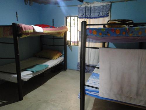 a room with two bunk beds and a window at Finca Ecoturística Tierra Blanca in La Laja