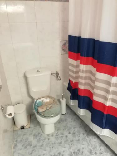 a bathroom with a toilet and a shower curtain at Andros Breeze in Batsi
