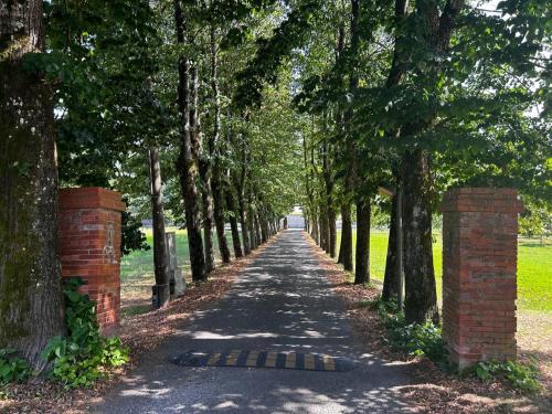 صورة لـ Casa Tea في لوكّا