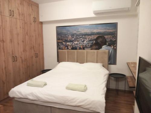 a bedroom with a bed with a painting on the wall at Zeirene in Skopje