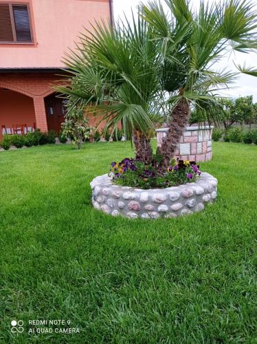 a palm tree in a pot with flowers in a yard at The Garden Guest House in Divjakë