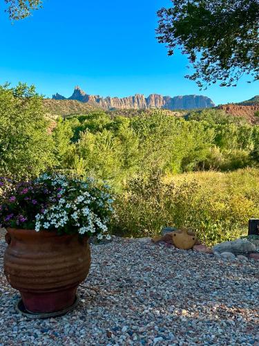 a pot of flowers on the ground with mountains in the background at The Inn at 37 Main in Rockville