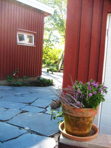 a plant in a pot next to a red building at Nösundsgården Hotell & Vandrarhem in Nösund