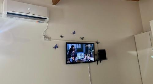 Ein Fernseher hängt an einer Wand mit Schmetterlingen drauf in der Unterkunft Monoambiente EK Centro Neuquén in Neuquén