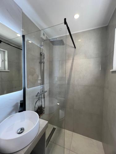 a bathroom with a sink and a glass shower at MISIC HOME in Colmar