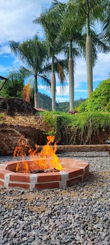 a fire pit with palm trees in the background at Recanto das Montanhas in Santa Teresa