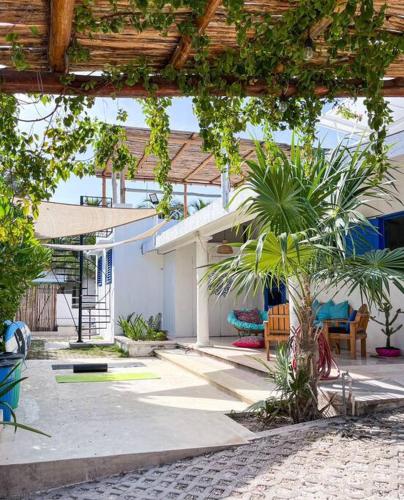 a house with a palm tree in a courtyard at Casa Omero. in El Cuyo