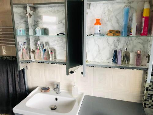 łazienka z umywalką i szafką ze szczoteczkami do zębów w obiekcie Holiday inn house w mieście Longton