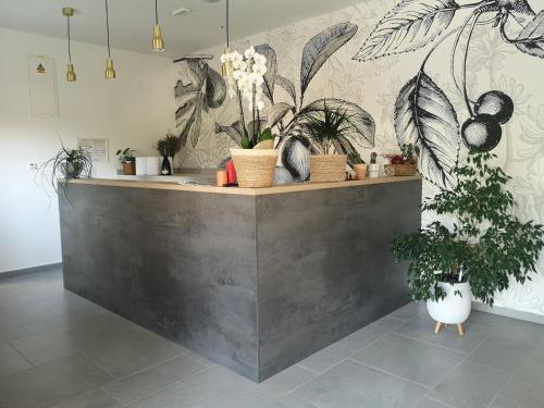 a lobby with a counter with potted plants on it at MEMORI bed&breakfast in Rab