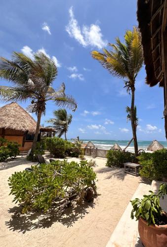 a beach with palm trees and houses and the ocean at La Conchita Tulum in Tulum