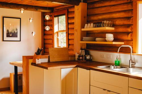 a kitchen with wooden walls and a sink at Bodega Ridge & Cove Cabins in Fernwood