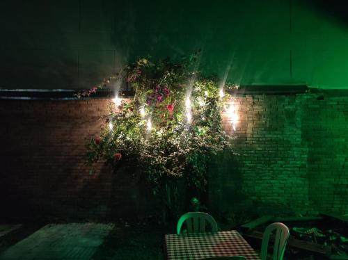 a brick wall with a plant with lights on it at Roma Lodges House- Campin Simón Bolivar Movistar Embajada compensar in Bogotá