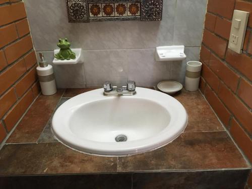 - un lavabo blanc dans la salle de bains avec une grenouille sur le comptoir dans l'établissement Vista Espectacular, à Mexico