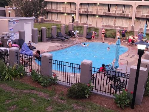 a group of people in a swimming pool at Econolodge in Andalusia