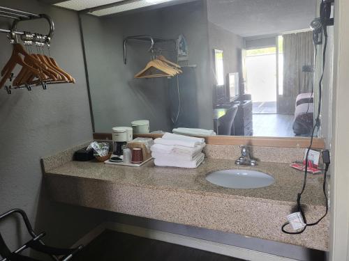a bathroom counter with a sink and a mirror at Econolodge in Andalusia