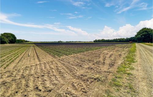 a field of crops with a blue sky at Nice Home In Zuidwolde With Wifi in Zuidwolde