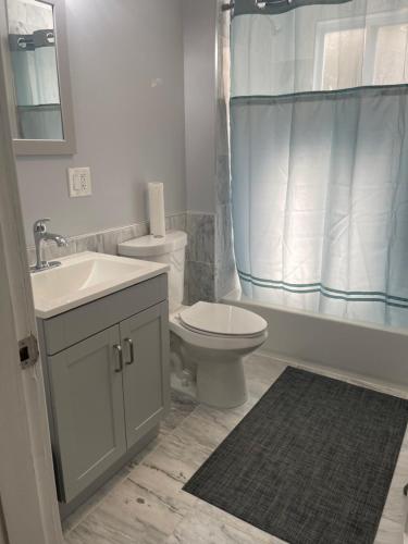 a bathroom with a toilet and a sink and a shower at Boston Luxury 2 Bedroom Private Condo in Boston