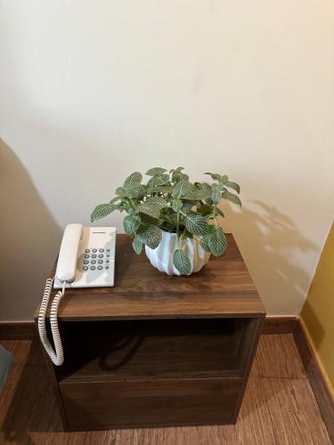 una planta en un jarrón en una mesa junto a un teléfono en Hotel Palmas Reales, en Trujillo