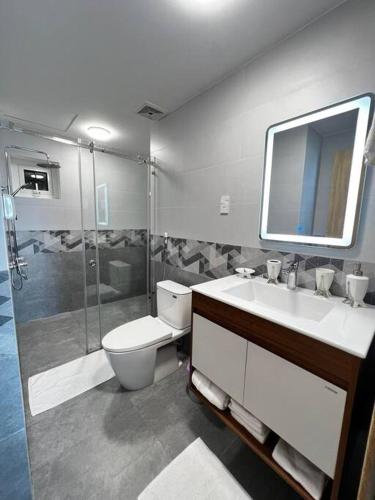 a bathroom with a toilet and a sink and a shower at ChouChou Apartment in Danang