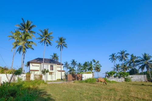 Сад в Kamana Beach House