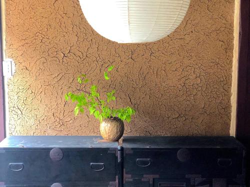 a plant in a vase sitting on top of a suitcase at RITA Yame Fukushima in Yame