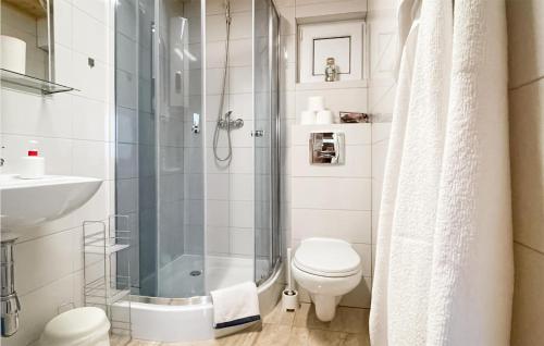 a bathroom with a shower and a toilet and a sink at Lovely Home In Grzybowo With Wifi in Grzybowo