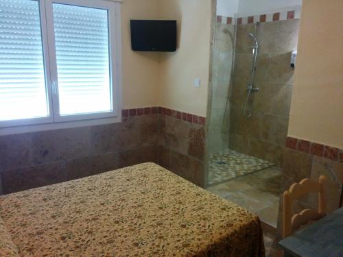 a bathroom with a shower and a table and a television at Hôtel Restaurant l'Agachon in Albaron