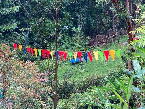 a row of colorful flags hanging in a garden at Montaña Verde in Rivas