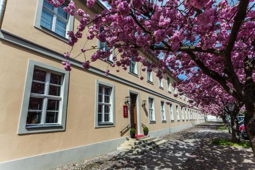 a flowering tree in front of a building at Hotel am Großen Waisenhaus in Potsdam