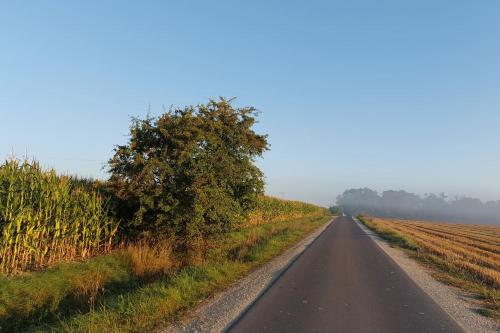 a long road in the middle of a field at Stilvolle Ferienwohnung im Eichsfeld in Niederorschel